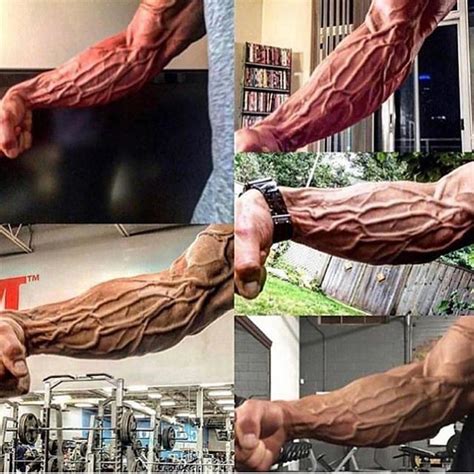 Massive Veiny Monster Cock